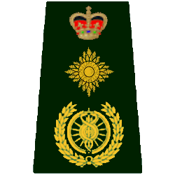 Chief Executive Officer